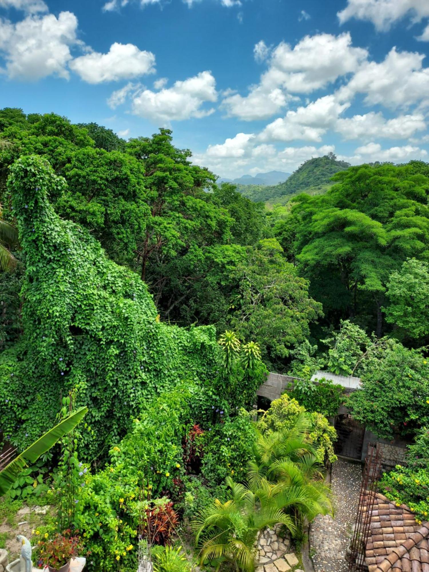 Hotel La Escalinata Copán Zewnętrze zdjęcie